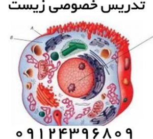 تدریس خصوصی زیست 1