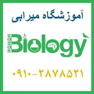 کلاس زیست شناسی کنکور شرق تهران