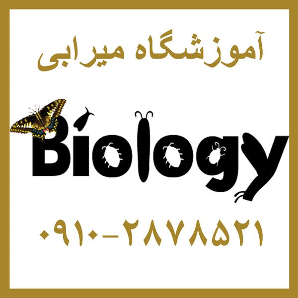 آموزش آنلاین زیست شناسی