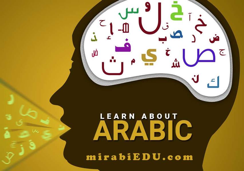معلم آنلاین زبان عربی