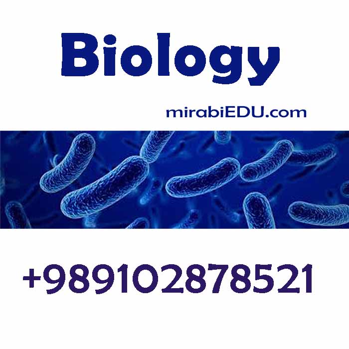 online microbiology exam