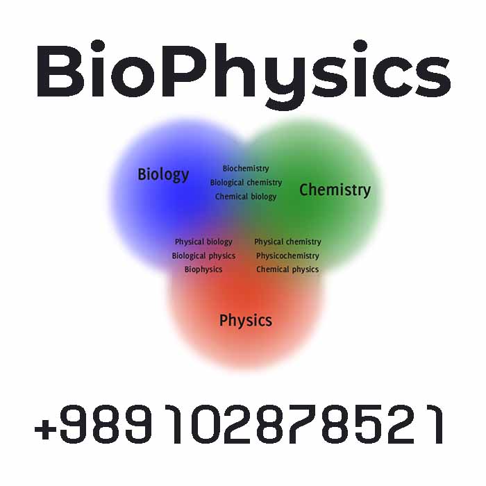 online biophysics tutor